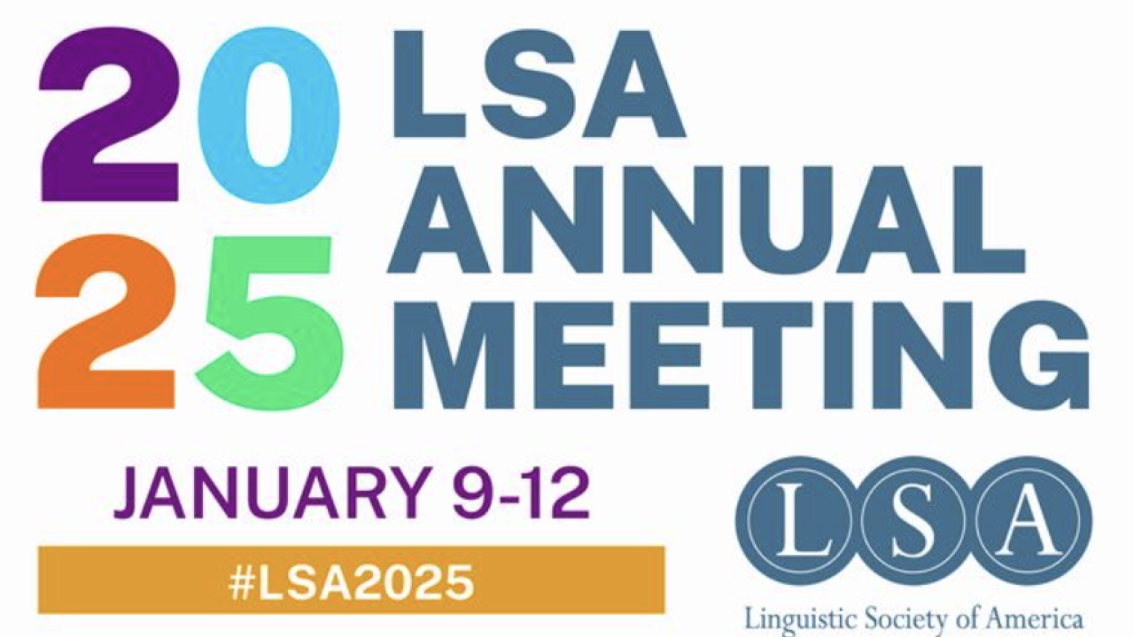 LSA_2025
