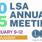 LSA_2025